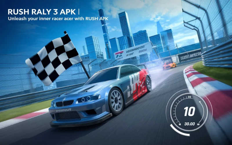 Rush Rally 3 APK