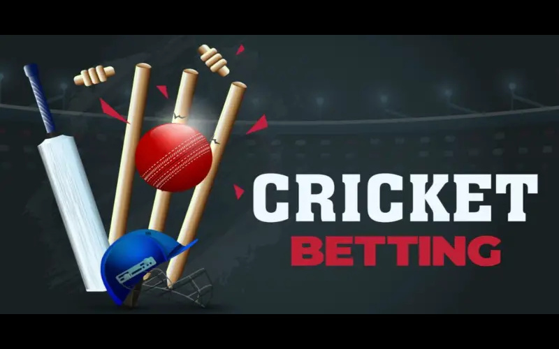 Online Cricket Betting body image